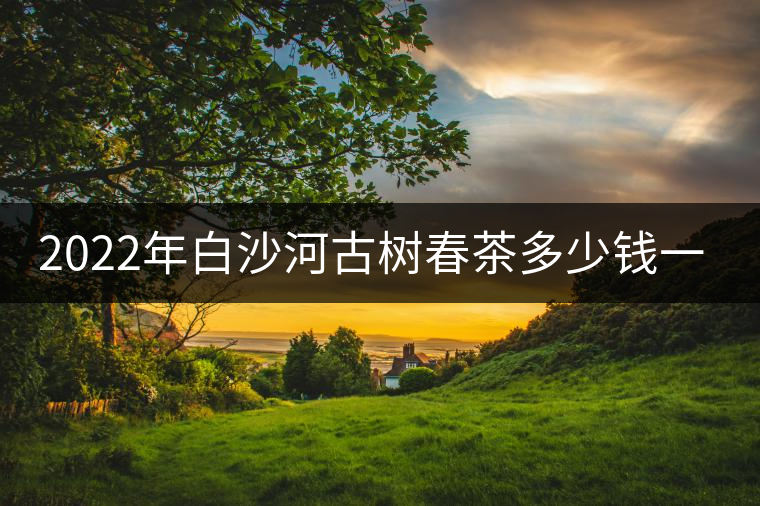 2022年白沙河古樹(shù)春茶多少錢(qián)一公斤？