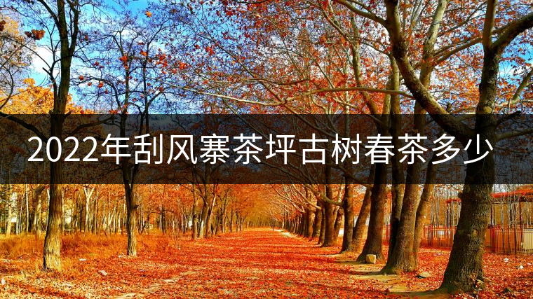 2022年刮風(fēng)寨茶坪古樹(shù)春茶多少錢(qián)一公斤？