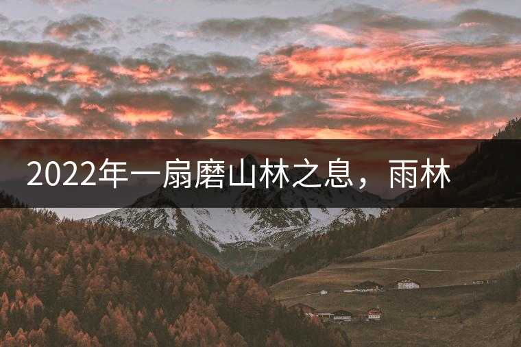 2022年一扇磨山林之息，雨林之味，原始之態(tài)
