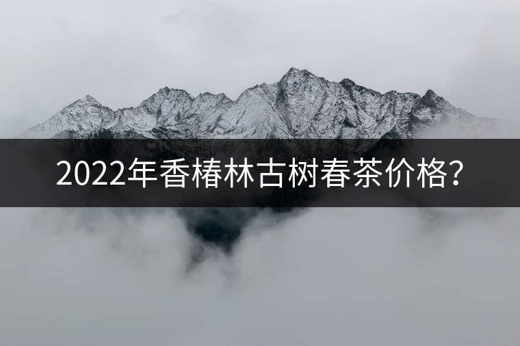 2022年香椿林古樹春茶價(jià)格？