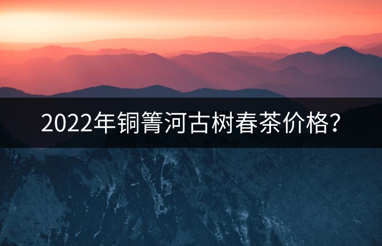 2022年銅箐河古樹春茶價(jià)格？