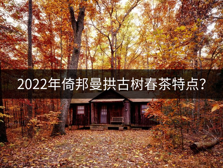 2022年倚邦曼拱古樹春茶特點？