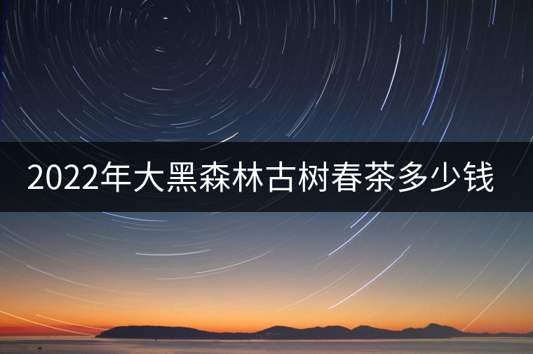2022年大黑森林古樹春茶多少錢一公斤？