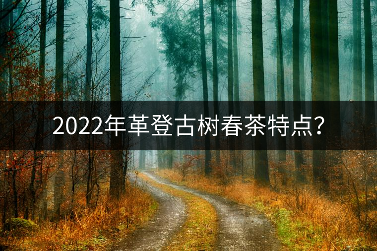 2022年革登古樹(shù)春茶特點(diǎn)？