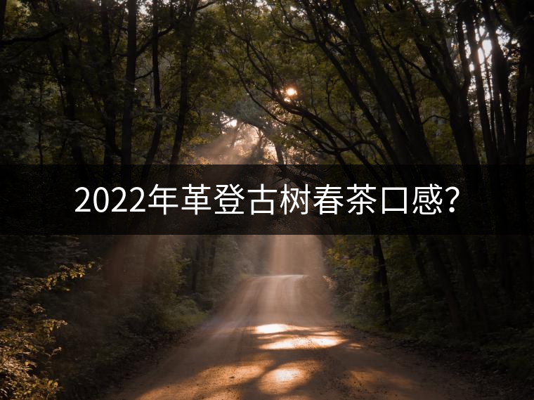 2022年革登古樹春茶口感？