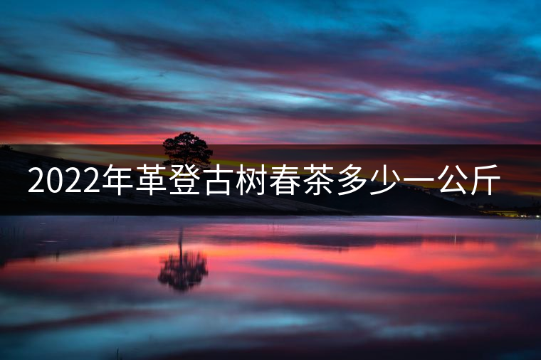 2022年革登古樹春茶多少一公斤？