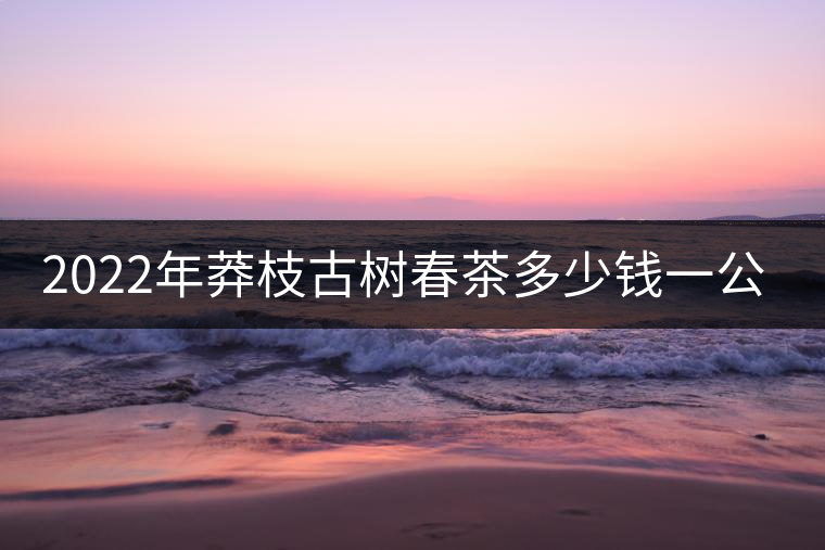 2022年莽枝古樹(shù)春茶多少錢(qián)一公斤？