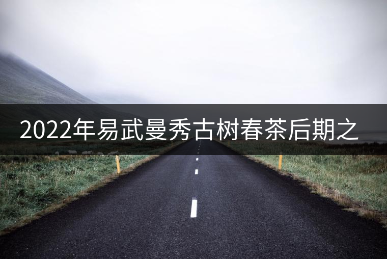 2022年易武曼秀古樹春茶后期之秀口感？