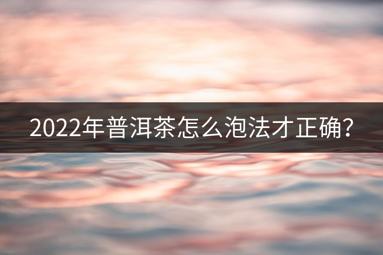 2022年普洱茶怎么泡法才正確？