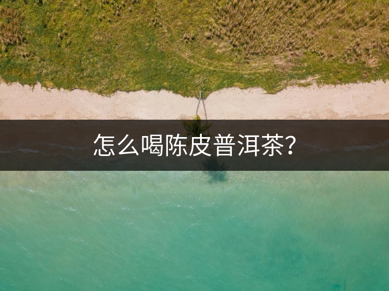 怎么喝陳皮普洱茶？