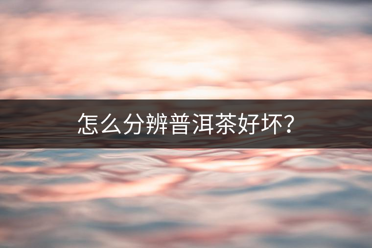 怎么分辨普洱茶好壞？