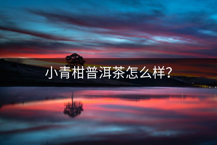 小青柑普洱茶怎么樣？