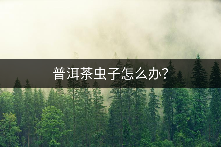 普洱茶蟲子怎么辦？