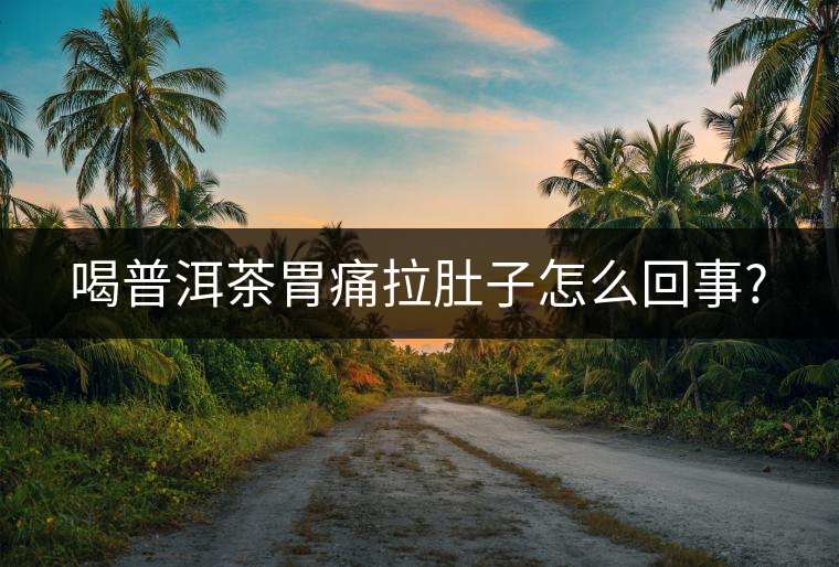 喝普洱茶胃痛拉肚子怎么回事? 喝普洱茶胃痛拉肚子怎么回事?