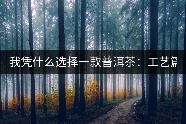 我憑什么選擇一款普洱茶：工藝篇？