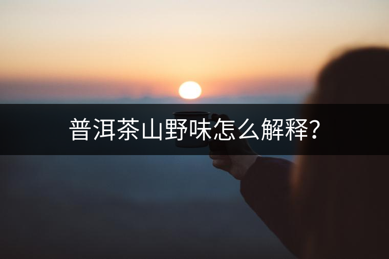 普洱茶山野味怎么解釋？