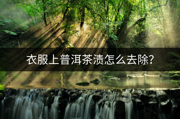 衣服上普洱茶漬怎么去除？