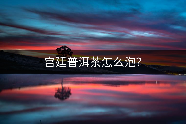 宮廷普洱茶怎么泡？