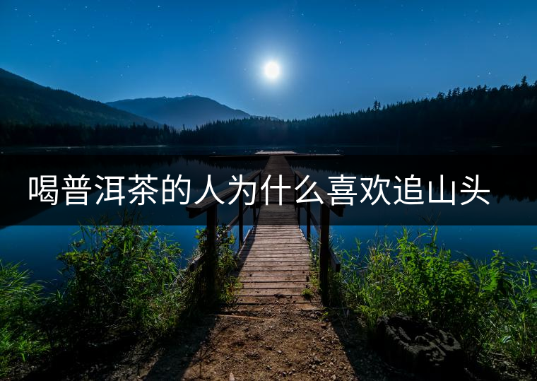 喝普洱茶的人為什么喜歡追山頭？無非就是這幾個原因