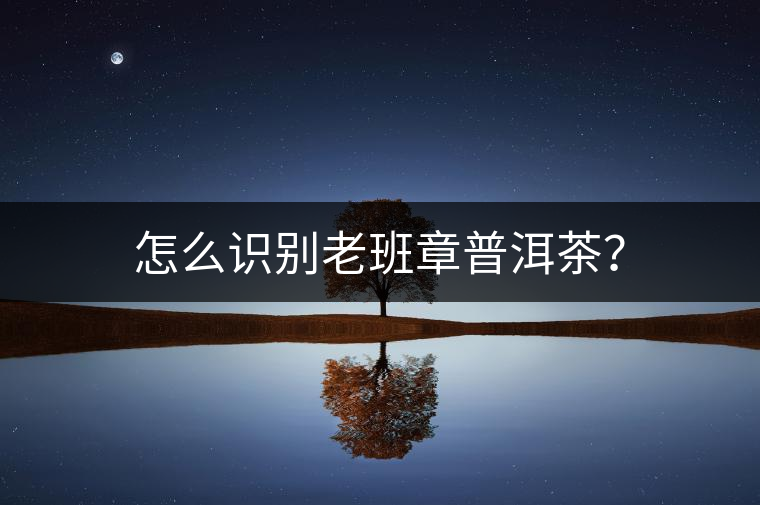 怎么識別老班章普洱茶？