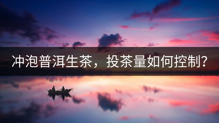 沖泡普洱生茶，投茶量如何控制？