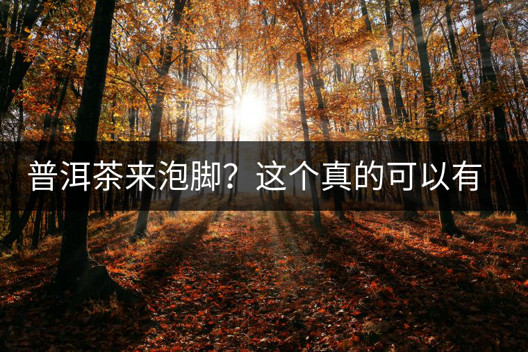 普洱茶來(lái)泡腳？這個(gè)真的可以有，還有治療腳氣的功效