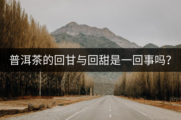 普洱茶的回甘與回甜是一回事嗎？？