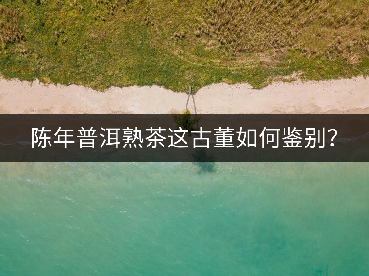 陳年普洱熟茶這古董如何鑒別？