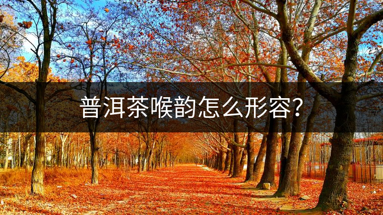 普洱茶喉韻怎么形容？