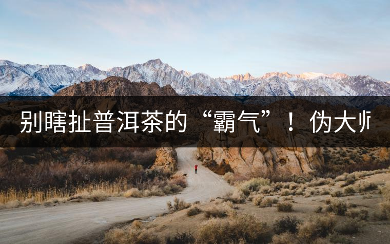 別瞎扯普洱茶的“霸氣”！偽大師！