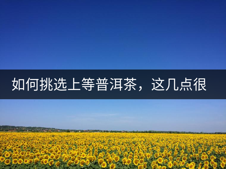 如何挑選上等普洱茶，這幾點(diǎn)很關(guān)鍵