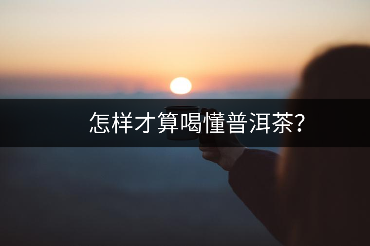 　怎樣才算喝懂普洱茶？