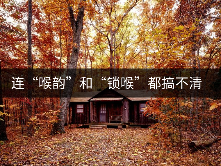 連“喉韻”和“鎖喉”都搞不清楚，就不要說懂普洱茶！