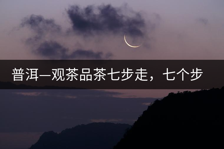 普洱—觀茶品茶七步走，七個步驟，喝懂普洱茶