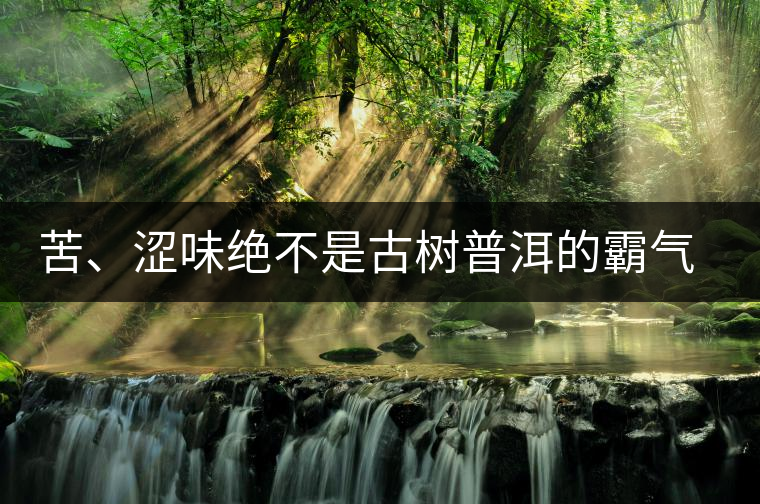 苦、澀味絕不是古樹普洱的霸氣，那也叫懂普洱茶，別逗了！