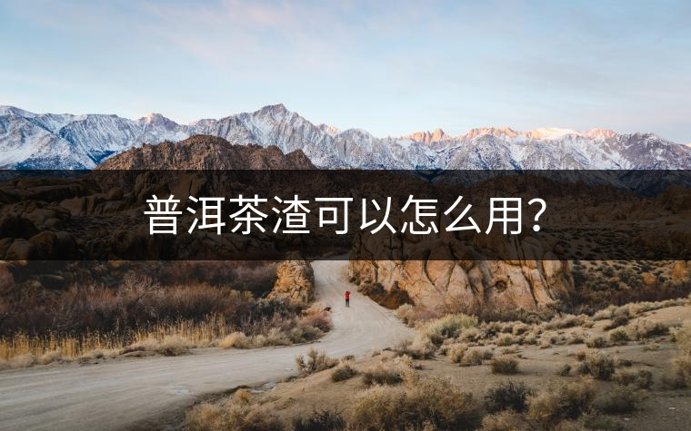 普洱茶渣可以怎么用？