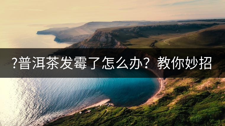 ?普洱茶發(fā)霉了怎么辦？教你妙招應(yīng)對發(fā)霉的普洱茶！