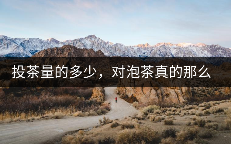 投茶量的多少，對(duì)泡茶真的那么重要嗎？