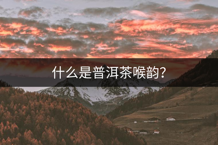 什么是普洱茶喉韻？