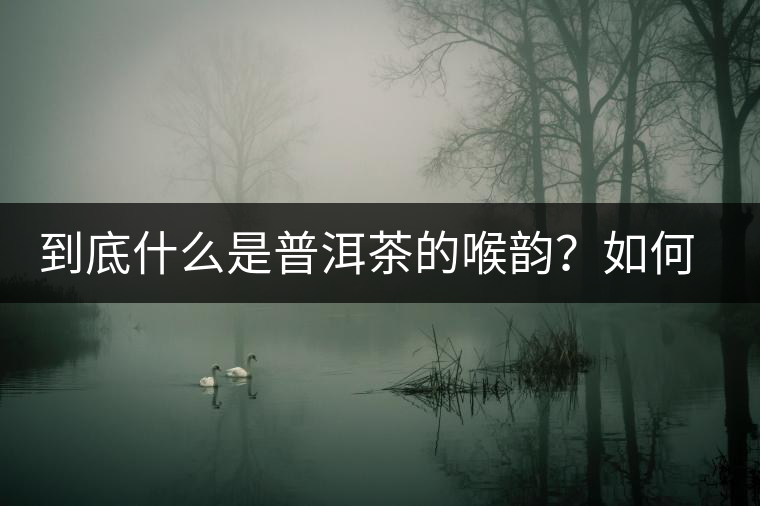 到底什么是普洱茶的喉韻？如何感受？