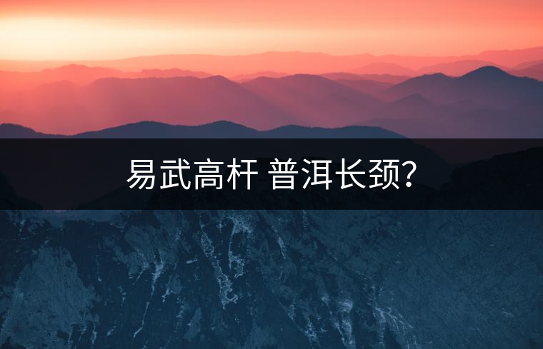 易武高桿 普洱長頸？