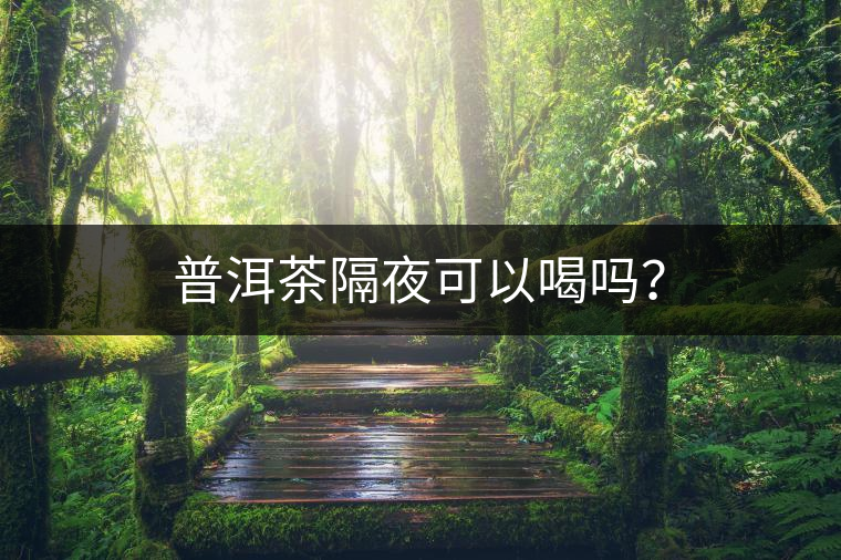 普洱茶隔夜可以喝嗎？