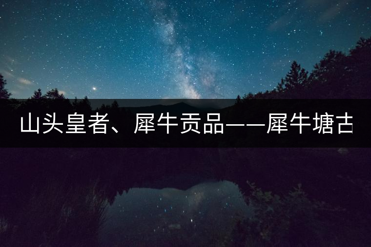 山頭皇者、犀牛貢品——犀牛塘古樹茶！