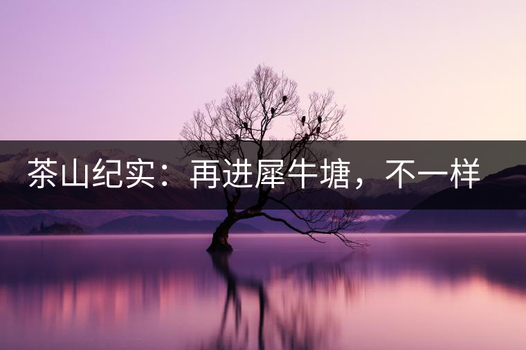 茶山紀(jì)實(shí)：再進(jìn)犀牛塘，不一樣的感覺；菁瑤可以預(yù)見的豐收年