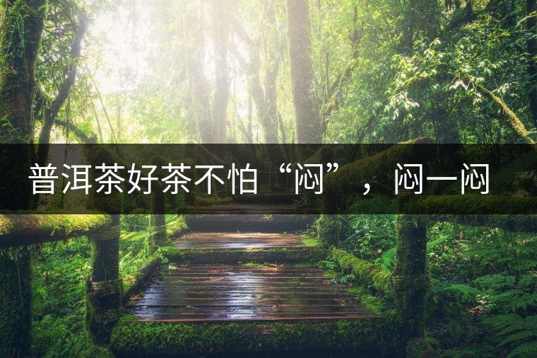 普洱茶好茶不怕“悶”，悶一悶看本味