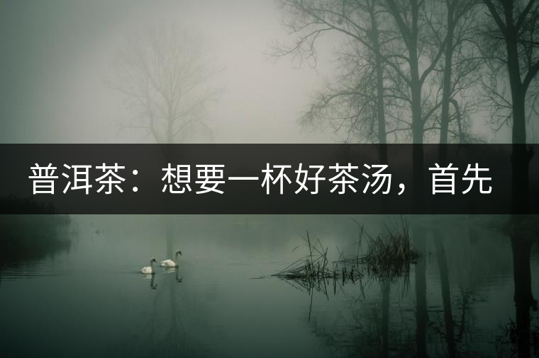 普洱茶：想要一杯好茶湯，首先要會(huì)醒茶