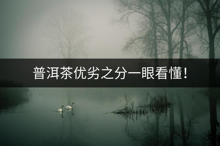 普洱茶優(yōu)劣之分一眼看懂！