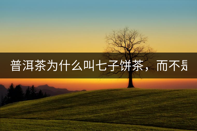 普洱茶為什么叫七子餅茶，而不是六子餅、八子餅......？