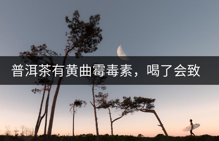 普洱茶有黃曲霉毒素，喝了會致癌？不黑不吹，咱用事實說話