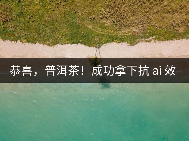 恭喜，普洱茶！成功拿下抗 ai 效果第二名！